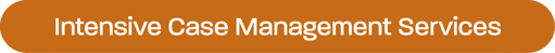 DSS__IntensiveCaseManagement(Orange)