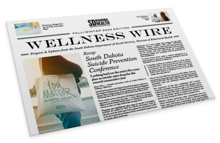 big-DSS_Homepage_NewsletterGraphic_800x520